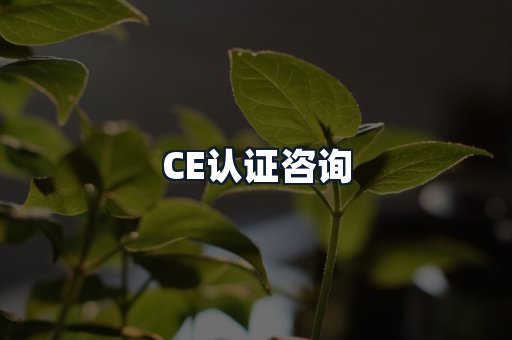 CE认证咨询